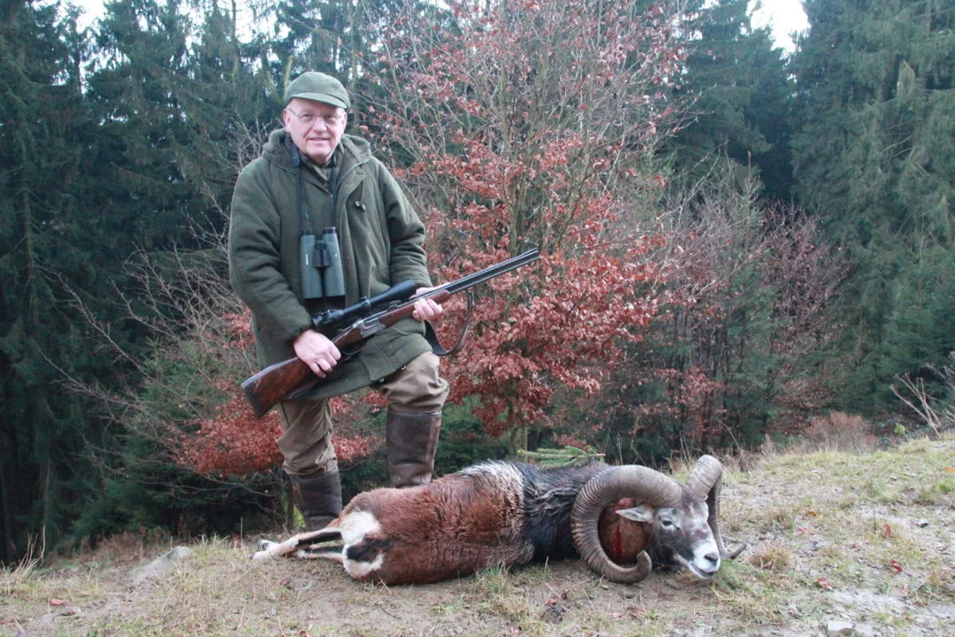 Jagd im SAUERLAND: Geografische und natürliche Besonderheiten, Wildreichtum, Jagdarten, Saisonzeiten und Traditionen

Das Sauerland, ein waldreiches Mittelgebirge im West