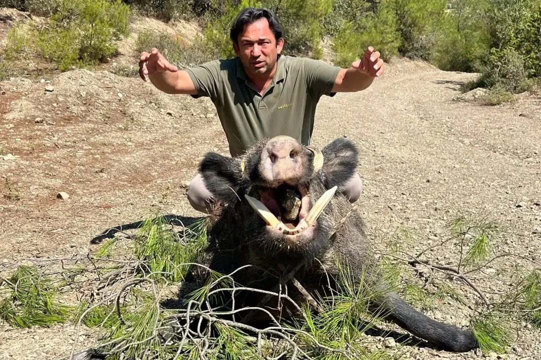 Jagd in Schaan (Liechtenstein): Geografische Besonderheiten, Natur, Wildbestände, Gesetze und Traditionen Jagd in Schaan (Liechtenstein): Geografische Besonderheiten, Natur, Wildbestände, Gesetze und Traditionen