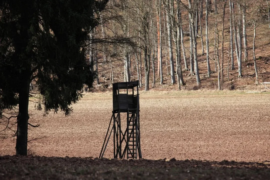 Jagd in Planken, Liechtenstein: Wildarten, Naturräume, Jagdgemeinschaften, Saisonale Besonderheiten, Gesetze und Traditionen
Die Jagd in Planken, der kleinsten Gemeinde