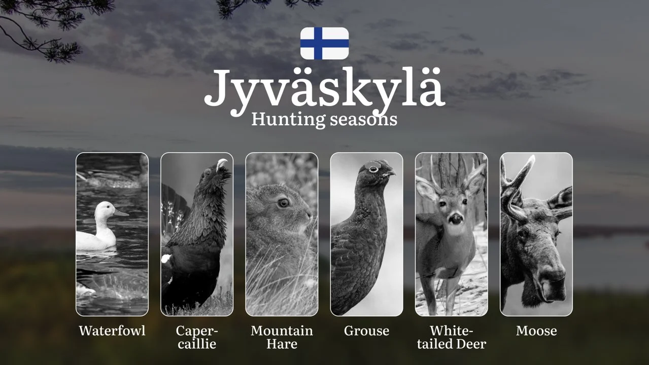 Hunting Seasons in JYVÄSKYLÄ: Main Hunting Periods, Modern Regulations, Required Documents and Practical Recommendations…