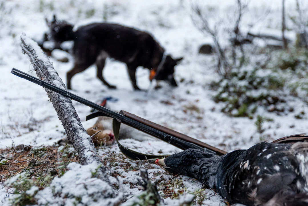 The Ultimate Guide to Kittilä Hunting: Clubs and Communities, Laws, Geography, Types, and Local Traditions