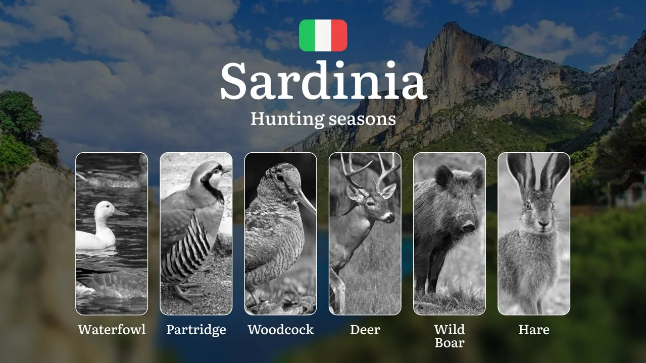 Sardinia's Wild Boar Hotspots: Moonlight Hunting Dates in the Gennargentu Mountain Strongholds, Tips and Secrets