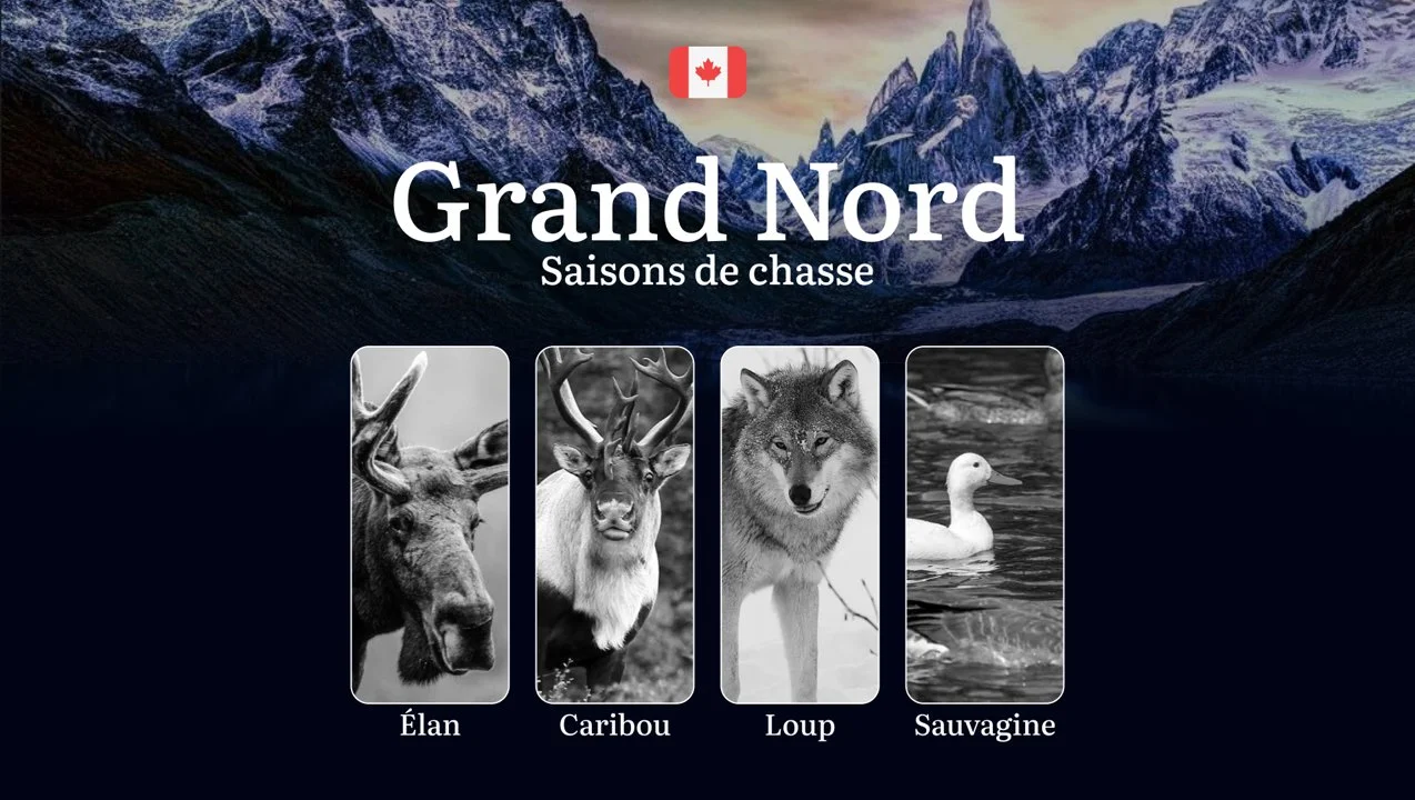 Les périodes de chasse au GRAND NORD canadien: calendrier complet, réglementations essentielles et stratégies éprouvées 

Le Grand Nord canadien, avec ses vastes étendues