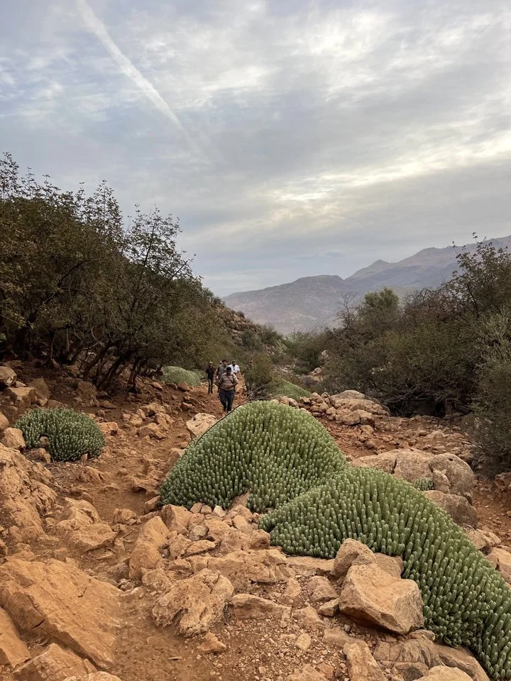 Boar Hunting Morocco 2025: Souss Valley Terrain, Proven Methods & Gear Setup