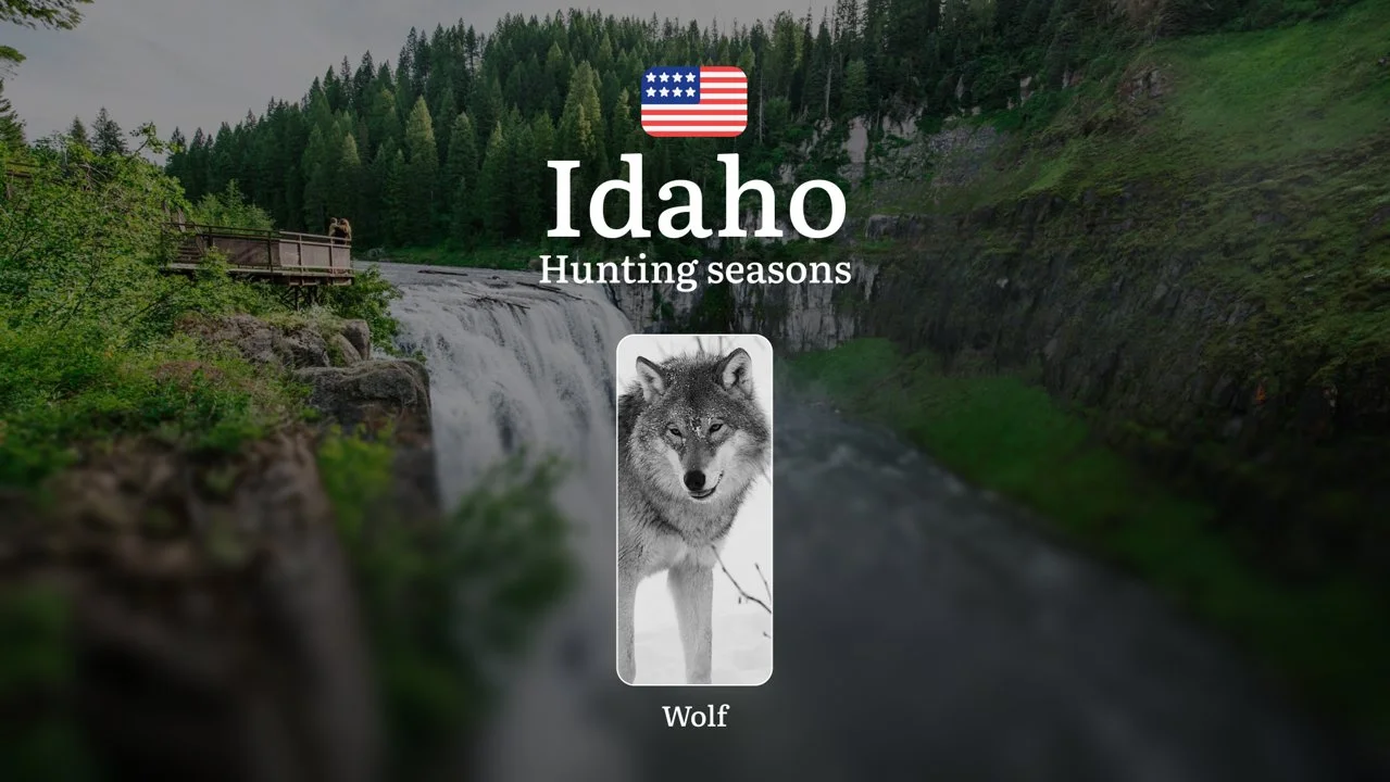 Idaho: Hunting Seasons and Dates, Licenses, and Tactics, Restrictions and Prohibited Activities, Animal Activity
