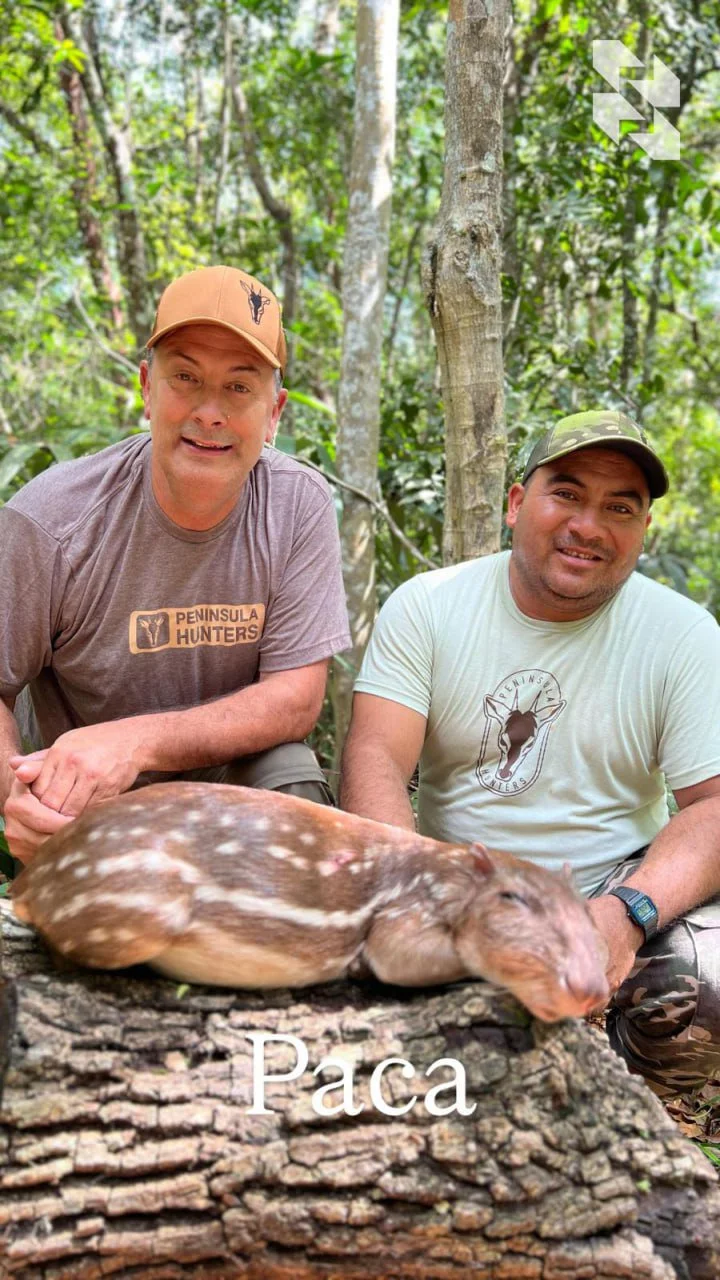 The jungle is calling!

❓Guess where all these beauties in the feed are from?

➡️ Bright and exotic ⬇️
Huge birds and tiny deer.

❗️Yucatan! Let's go to 🇲🇽 Mexico.

Mex