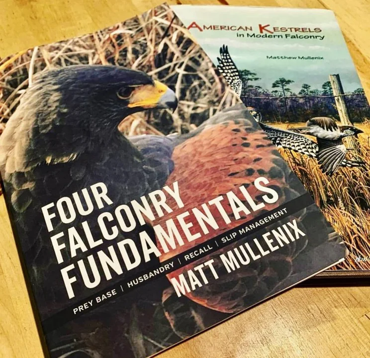 Falconry Books and Documentaries — Essential Reads, History, and Must-Watch Films for Hunters and Falconers Falconry Books and Documentaries — Essential Reads, History, and Must-Watch Films for Hunters and Falconers