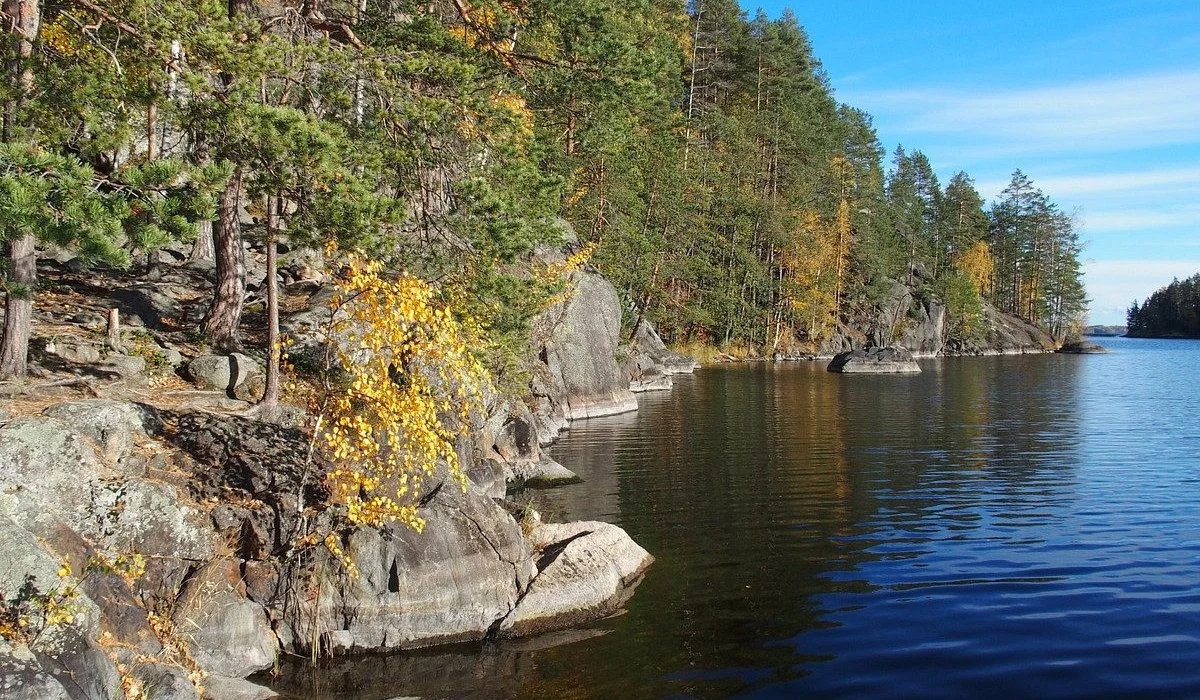 Savonia (Savo) Hunting: Geography, Clubs and Laws, Species, Game, and Cultural Traditions
Savonia, often referred to as Savo, is a region steeped in Finnish history and