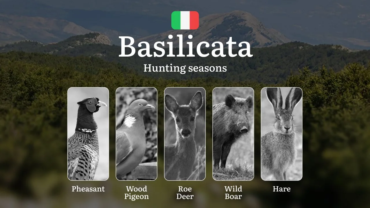 Basilicata Hunting Season: Exclusive September-October Hunting Windows in Pollino Forests, Hunting Tips and Secrets