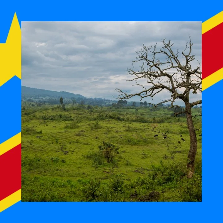 DR Congo: All About Hunting and Fishing, News, Forum. avatar
