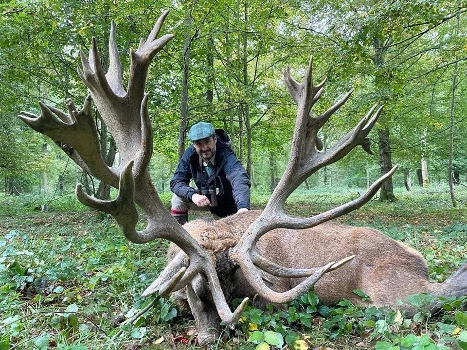 zxz473 avatar zxz473 avatar