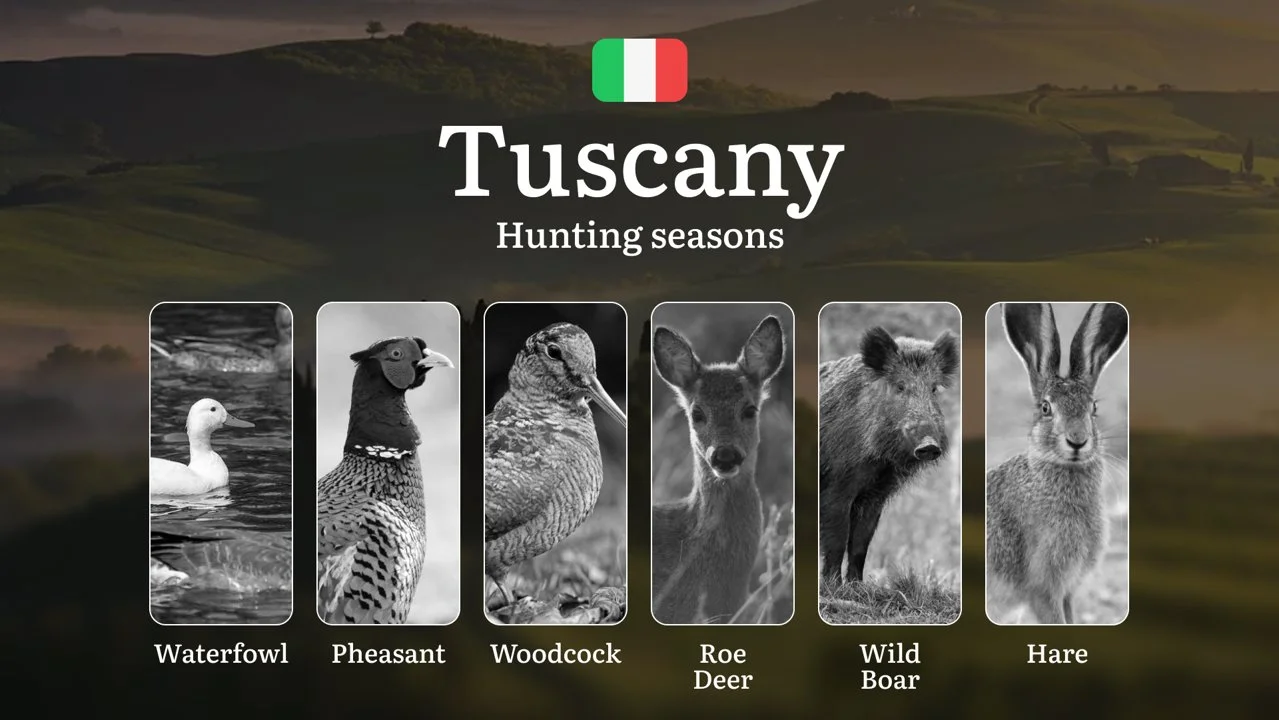 Tuscany's Legendary Seasons: Moon Phase Hunting Dates in the Maremma and Chianti Vineyards