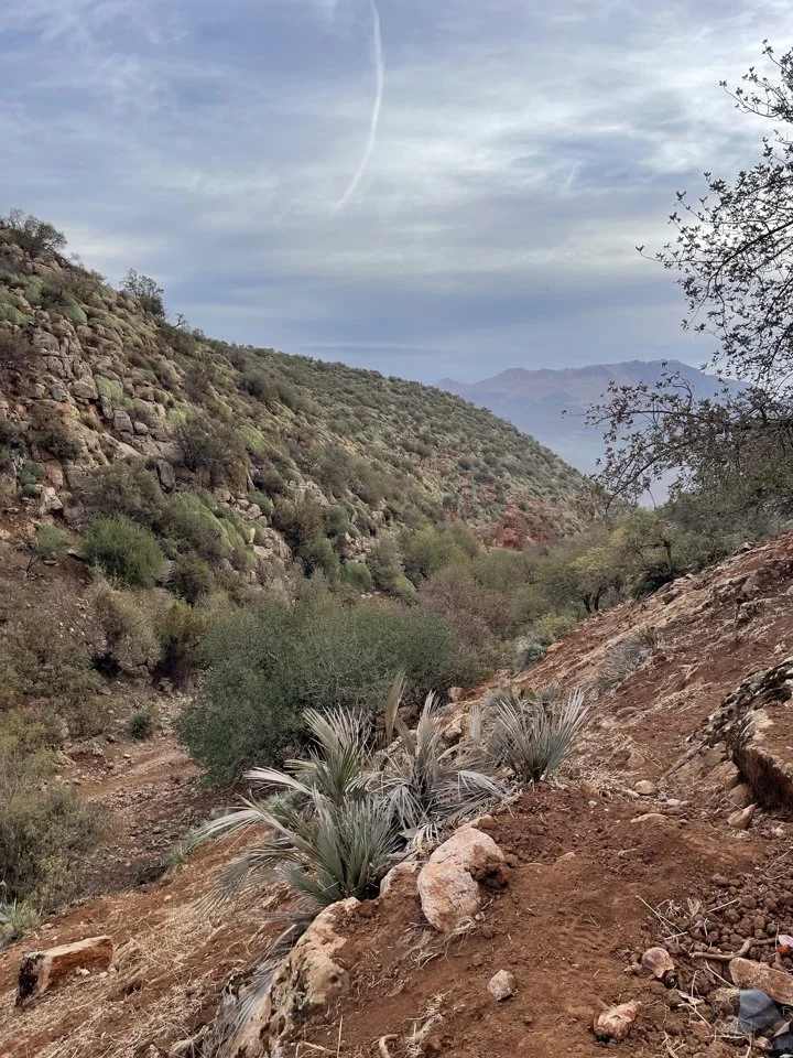 Hunting in the Atlas Mountains: Where to Stay for the Ultimate Experience

The Atlas Mountains are not only a haven for hunters—they’re a gateway to Morocco’s most breath