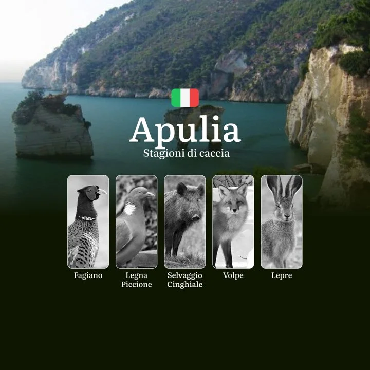 Caccia in Puglia: Stagioni Venatorie tra Oliveti e Zone Umide - Quando Apre e Chiude
Principali periodi di caccia nella regione di Puglia
La Puglia offre ai cacciatori
