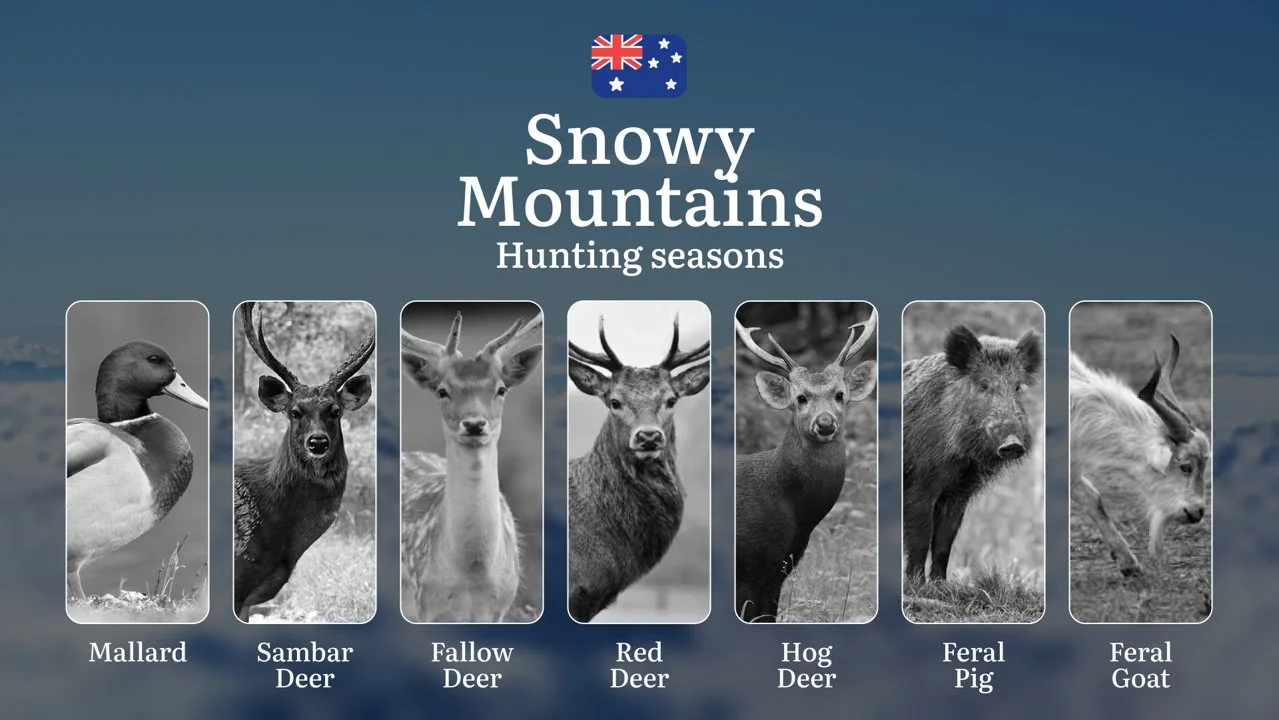 Secrets of the Snowy Mountains: When the Wild Calls – Hunting Seasons, Tactics & Trophy Moments in Australia's High Country

General Hunting Rules & Season Dates in the S