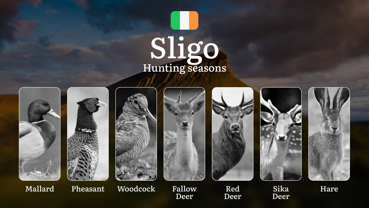 Mastering the Hunting Seasons in SLIGO, Ireland: Key Dates, Regulations, and Prime Game Opportunities
General Hunting Rules and Seasons in Sligo
Hunting seasons in Slig