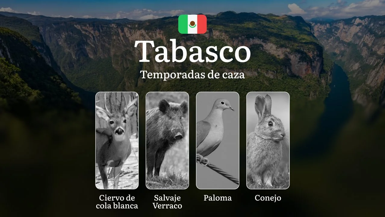 Temporadas y períodos de Caza en Tabasco: Normativas, Especies y Épocas para la Práctica Cinegética en la Región

Tabasco, con su exuberante vegetación y diversidad de fa