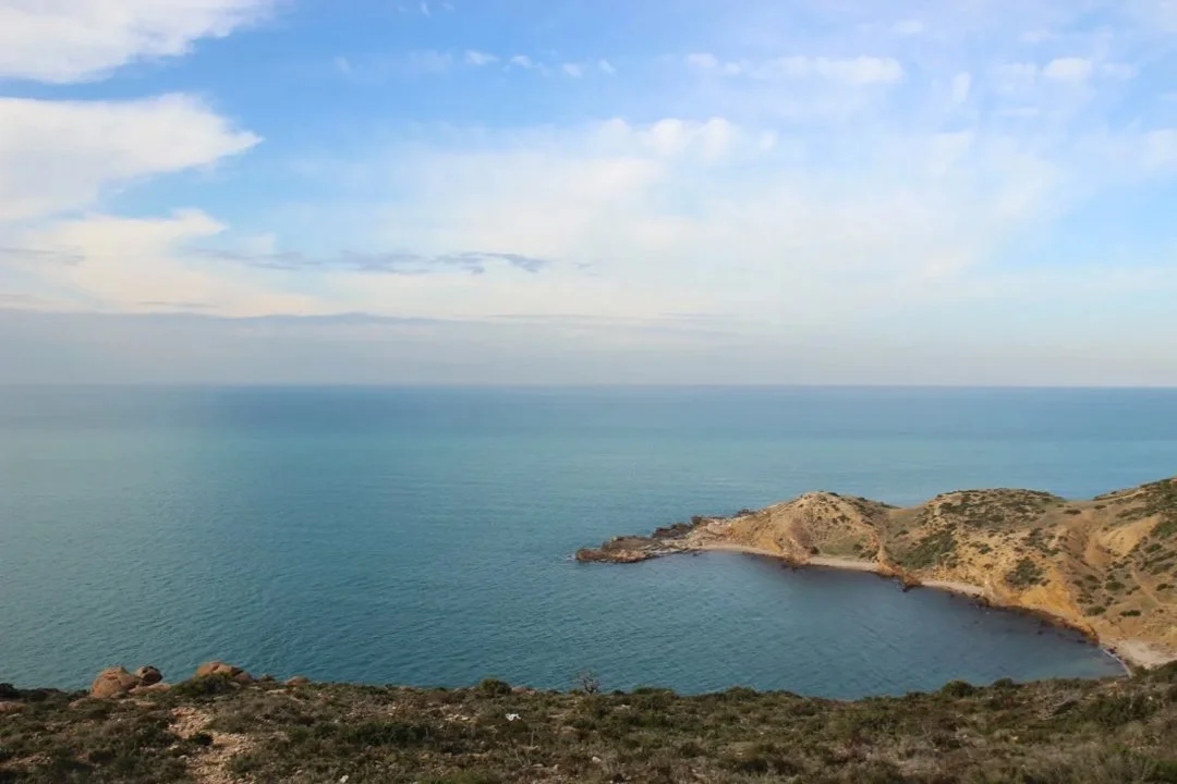 Hunting in SOUSSE: Game Species in Sousse, Hunting Seasons and Optimal Times of Hunting

Geography and Ecological Features of Tunisia

Sousse, a coastal city located in c
