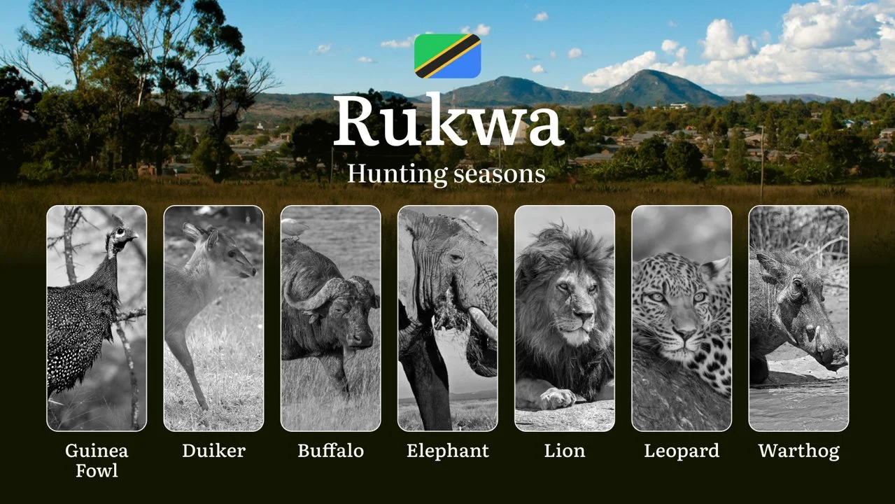 Official Hunting Timeline in Rukwa: Legal Limits and Seasonal Bans, Licensing Rules, Fines and Consequences for Breaches…