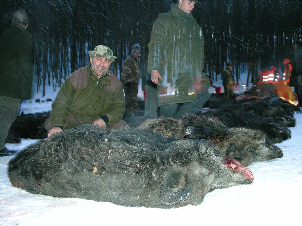 Jagd im Bezirk Krems Land: Wildvorkommen, Jagdreviere, Praxis, Rahmenbedingungen, Jägerschaft, Saisonhöhepunkte, Brauchtum, Fakten
Wildvorkommen und jagdliche Besonderhe
