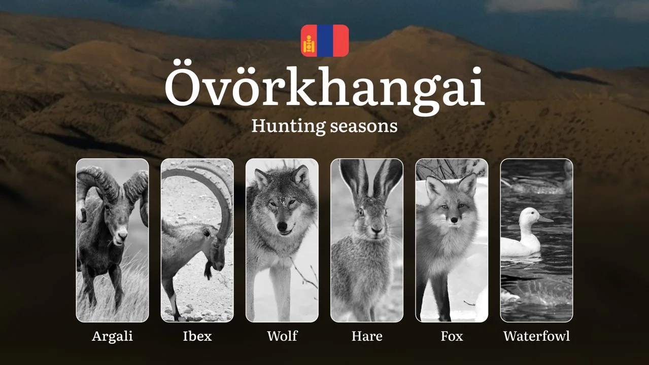 Hunting Seasons in Övörkhangai Province: Regulations, Permits, and Time for Hunting, Documents and Organizations