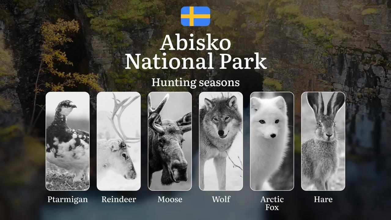 Hunting Periods and Permits in ABISKO NATIONAL PARK: A Detailed Look at Game Movement Throughout the Year, Seasonal Limi…