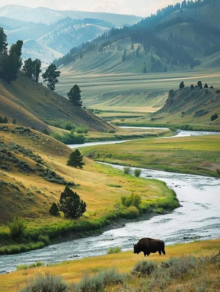 The Yellowstone River, originating in the Absaroka Range in Wyoming, meanders through Montana before joining the Missouri River. Known for its stunning natural beauty, it