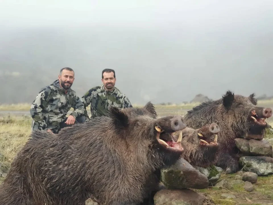 Jagd im Höfe (Kanton Schwyz), Schweiz: Demografie, Merkmale, Besonderheiten, Jagdstrategien, Wildarten, Jagdsaisons, Ver… Jagd im Höfe (Kanton Schwyz), Schweiz: Demografie, Merkmale, Besonderheiten, Jagdstrategien, Wildarten, Jagdsaisons, Ver…