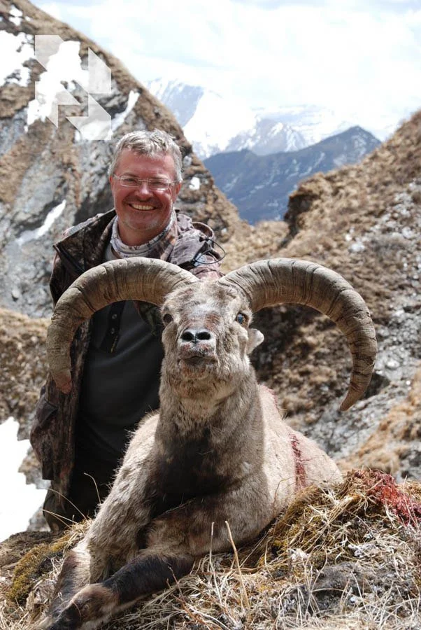 Small talk on the topic Big game

Hunting for wild sheep is, without a doubt, a unique adventure that will be remembered for many years 📆

Impressive horns, a thick base