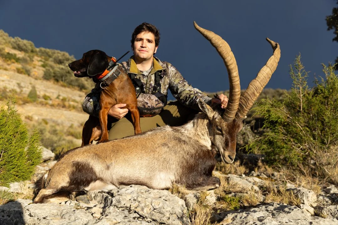 Jagd in Oberaargau (Kanton Bern), Schweiz: Landschaftscharakter, Bewohner, Jagdpraxis, Wildvorkommen, Jahreszeiten, Orga… Jagd in Oberaargau (Kanton Bern), Schweiz: Landschaftscharakter, Bewohner, Jagdpraxis, Wildvorkommen, Jahreszeiten, Orga…
