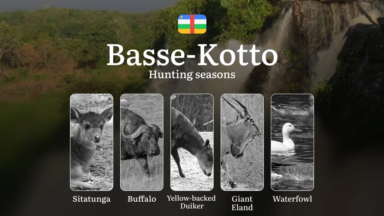 Hunting Through the Seasons in Basse-Kotto: Rules, Permits & Cultural Events and Traditions
General Hunting Rules and Seasons in Basse-Kotto
The official hunting season