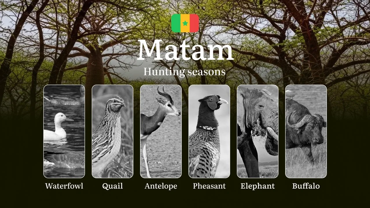 Seasons of Hunting in Senegal, The MATAM Region: Dates and Time, Hunting Bans and Restrictions, Penalties for Violating…