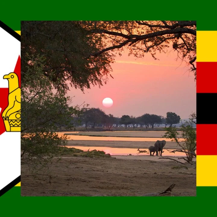 Zimbabwe: all about hunting and fishing, news, forum. avatar