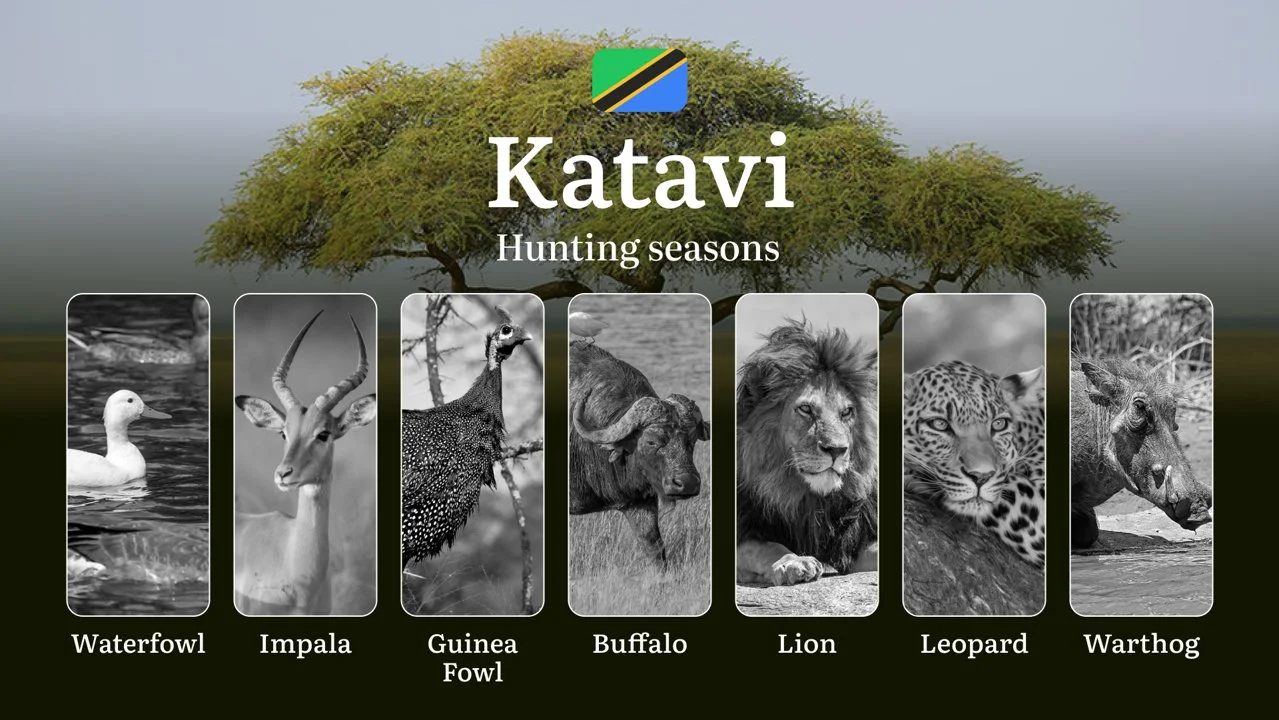 Hunting Calendar for Katavi: Prime Times for Big and Small Game, Restricted Areas, Regulations and Exemptions, Obtaining…