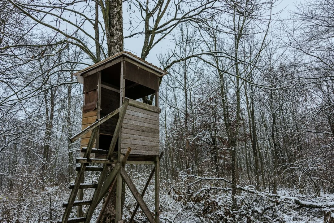 Winterjagd Tipps: Ausrüstung, Sicherheit, Wildverhalten

Die Winterjagd stellt sowohl für erfahrene Jäger als auch für Jungjäger eine besondere Herausforderung dar. Kälte