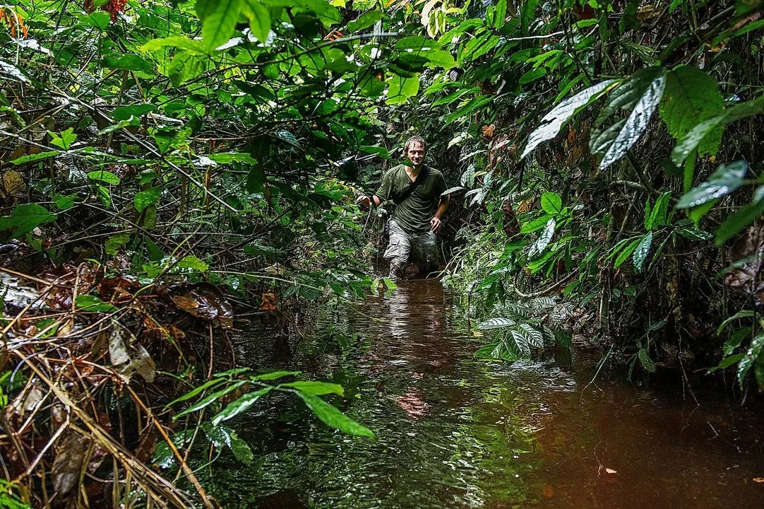 Hunting in Pointe-Noire: Coastal Ecosystems, Urban-Rural Hunting Demographics, and Game Access
Hunting in Pointe-Noire region, located along the Atlantic coast of the Re