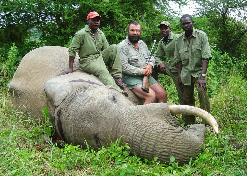 Hunting in the Midlands of Zimbabwe: Uncover the Geographical Characteristics and Diverse Types of Hunting in the Region…