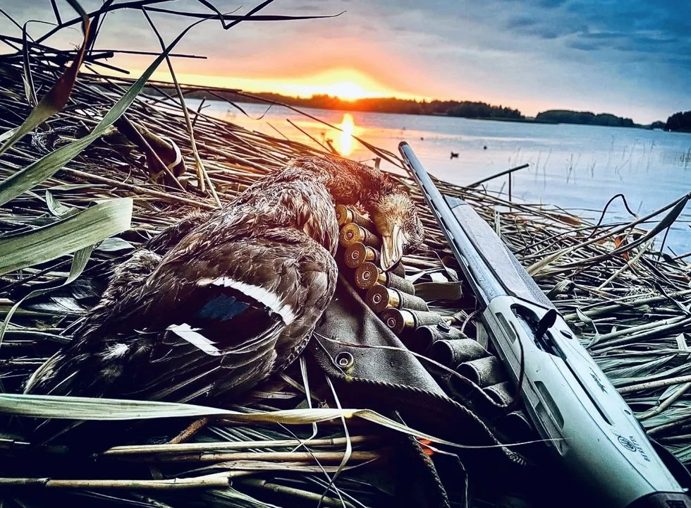 Finding Your Perfect Beretta Shotgun: The Hunter's Guide to the BeFinding Your Perfect Beretta Shotgun: The Hunter's Gui…