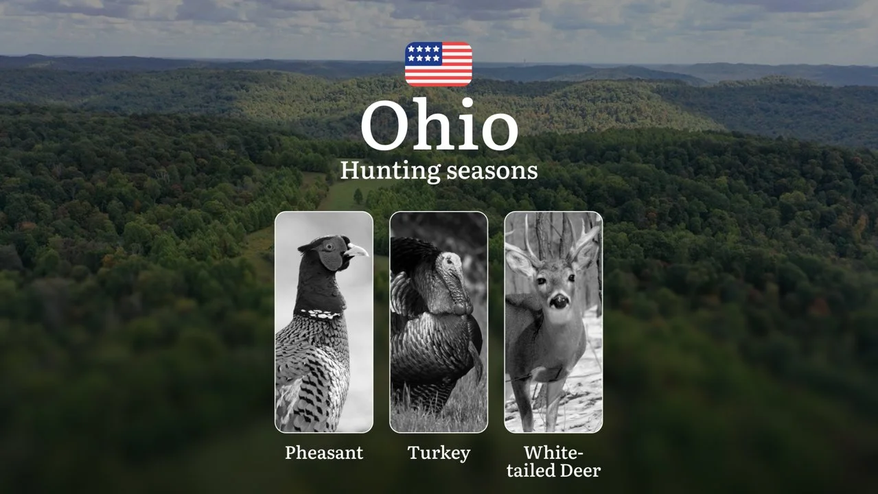 Seasons of Hunting in Ohio, USA: Deer Hunting Dates, Licenses, Regulations, Restrictions and Prohibitions