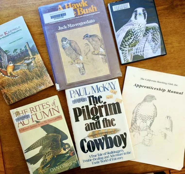 Falconry Books and Documentaries — Essential Reads, History, and Must-Watch Films for Hunters and Falconers Falconry Books and Documentaries — Essential Reads, History, and Must-Watch Films for Hunters and Falconers