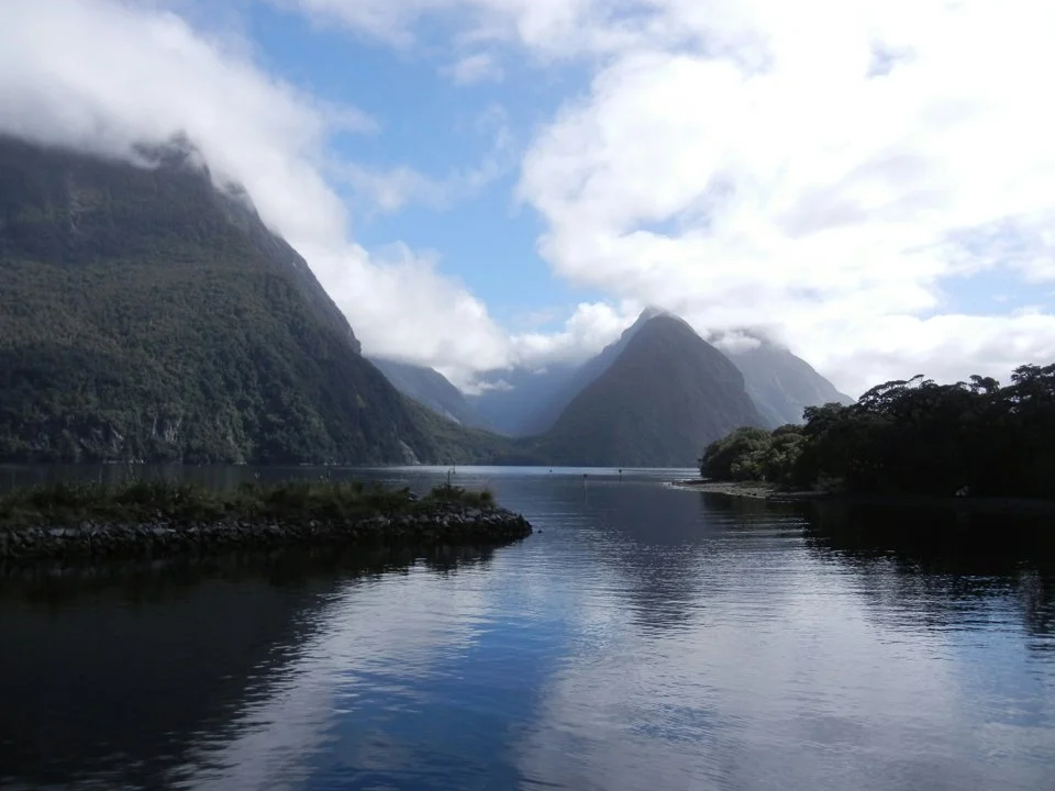 Taranaki hunting spots you can’t miss: types of hunting and animals, laws and regulations in the region, season, hunting season, associations and clubs

Terrain and natur