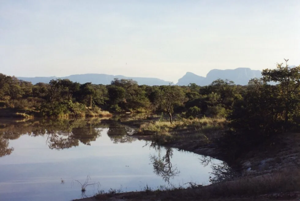 A Night in Hippo Heaven
By Donald J Stoner
It is said that hippos kill more people in Africa than any other animal (if you exclude mosquitos). But does that qualify