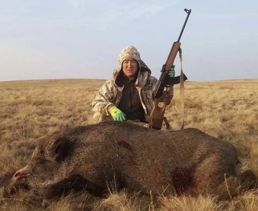 Охота на кабана в Казахстане: лучшие места, методы и традиции
🐗 Введение: кабан как охотничий трофей
Дикий кабан (Sus scrofa) — мощный, агрессивный и выносливый зверь,