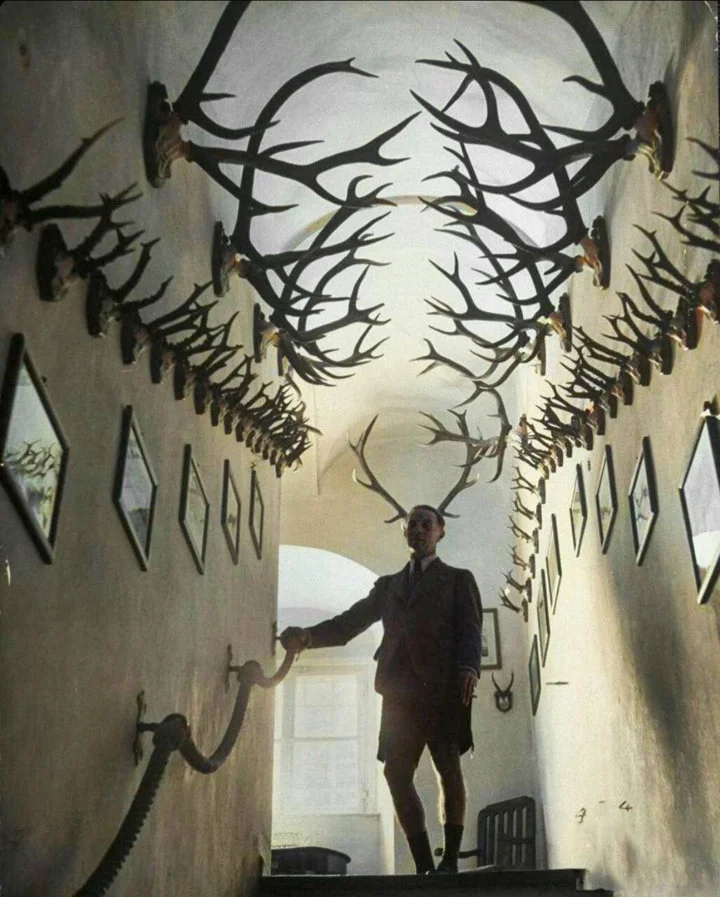 Prince Franz Joseph II of Liechtenstein surrounded by his hunting trophies. Bavaria. Trizonia. August 1949.

In August 1949, a striking photograph captured Prince Franz J