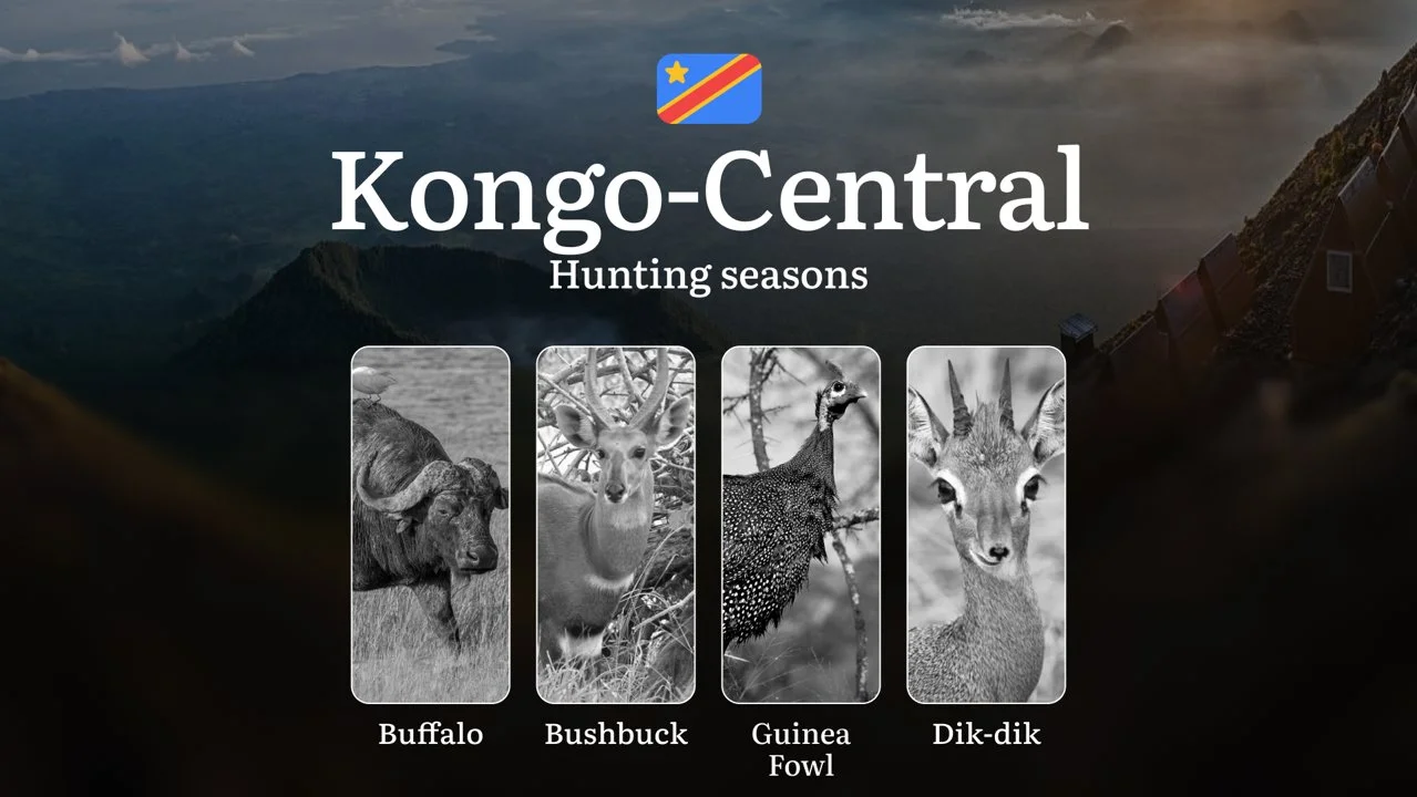 Seasonal Hunting Periods in Kongo-Central: Seasonal Game Patterns, Licensing Rules, Documents, and Hunting Closures
