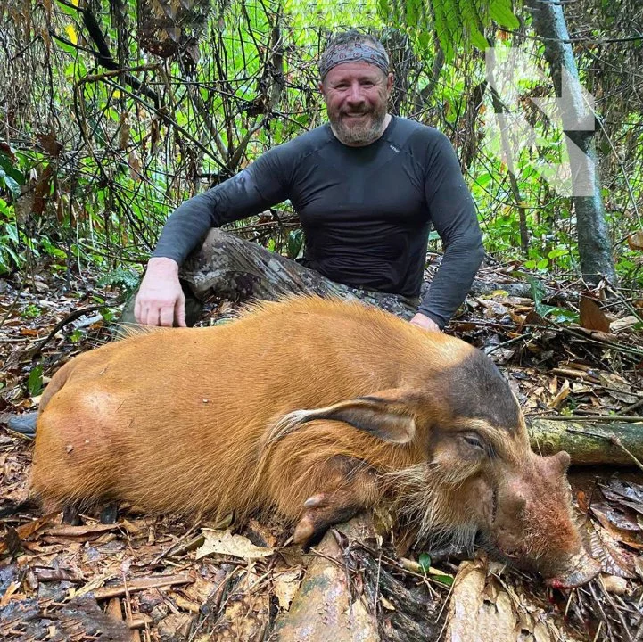 O džungli, pigmejima i lovu kroz prevladavanje 🔥

🇨🇲Džungle Kameruna počinju primati lovce od početka travnja. Kiše, koje ove sezone padaju gotovo svaki dan, samo im i