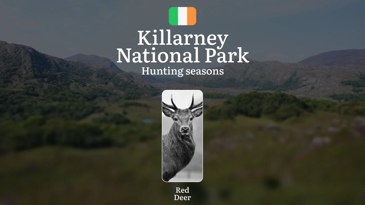 KILLARNEY NATIONAL PARK Hunting Seasons Decoded: Legal Dates, Prime Game Windows, and Essential Regulations in Ireland's Wilderness

General Hunting Rules and Seasons in 