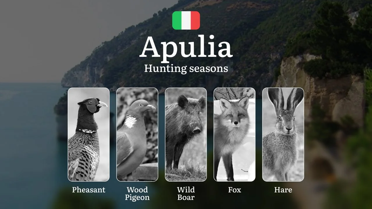Hunting in Apulia: Calendar, Permits and Strategies for a Successful Season