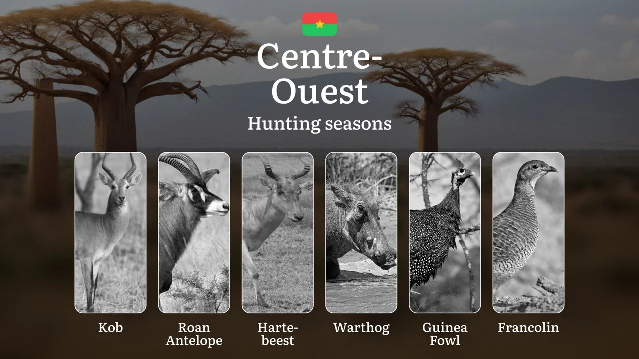 Hunting Seasons in CENTRE-OUEST: Legal Requirements, Restrictions, General Rules, Seasonal Patterns,  Protected Species, Penalties for Violating Regulations and Optimal H