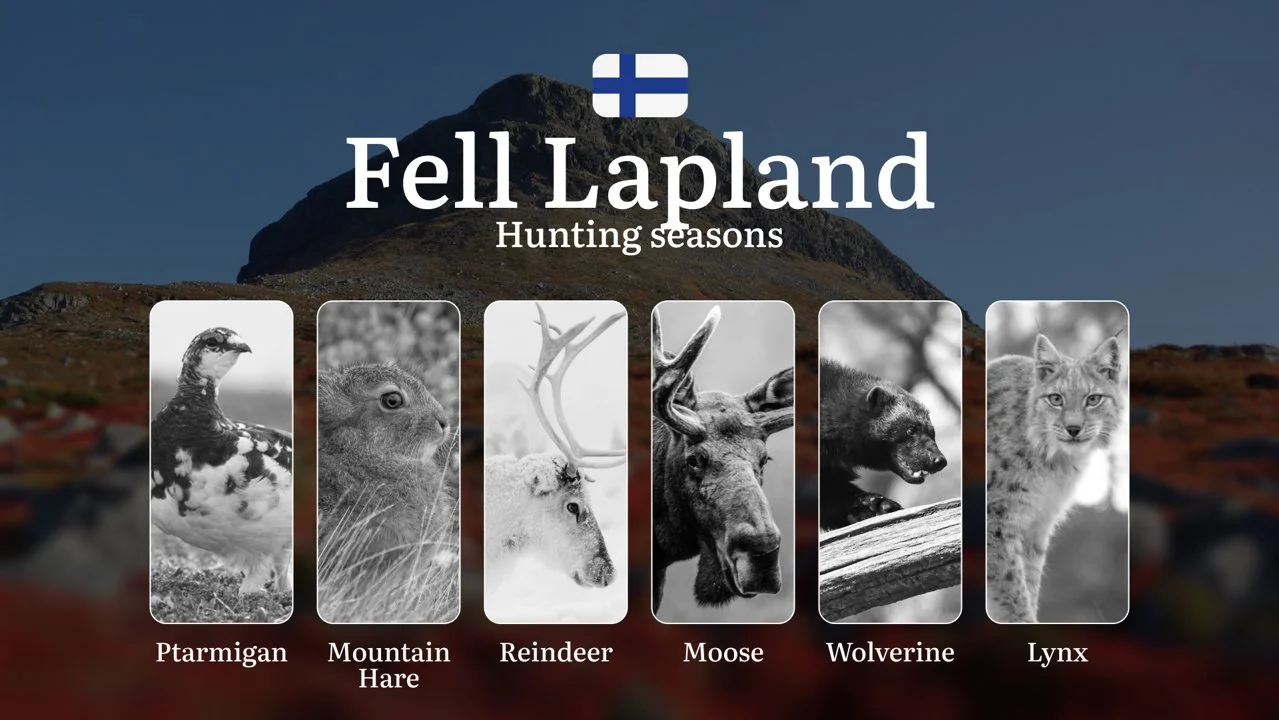 Hunting Seasons in FELL LAPLAND: Required Documents, Restrictions, General Rules, Penalties for Violating Regulations an…